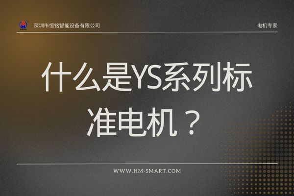 什么是YS标准电机？